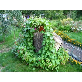 Декорация в пеньке